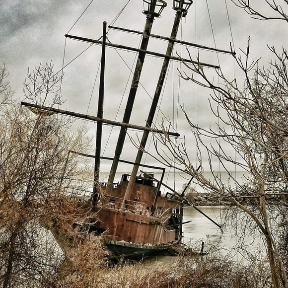 Meet your Posher, Cindy - Picture 8 of 8